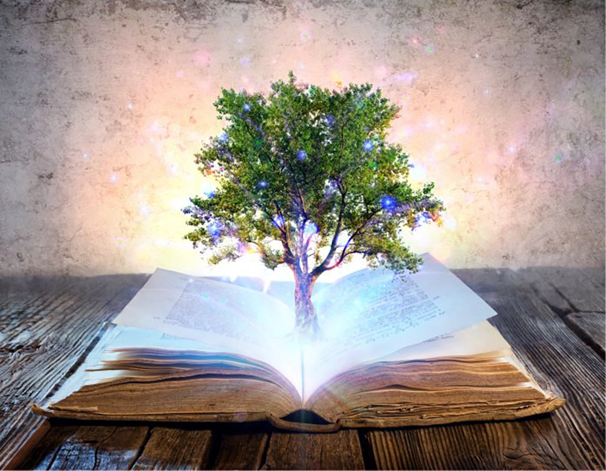 Servicios de apertura registros akashicos en consultorio